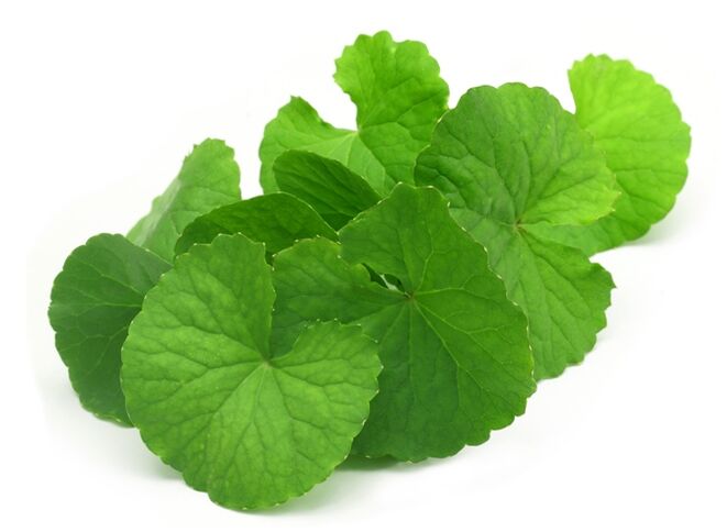 Gotu Kola met Prostamin Forte