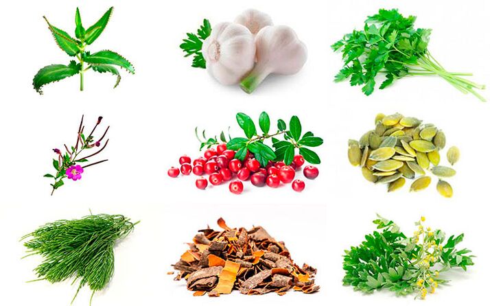 folkremedies voor de behandeling van prostatitis